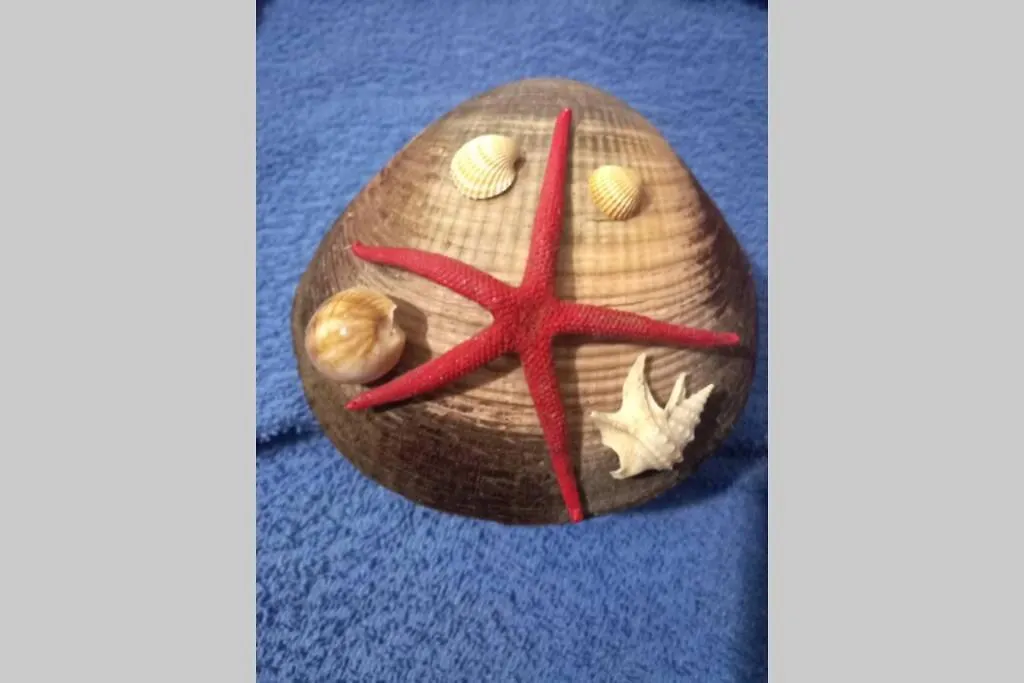 Sea Star - Appartamento Per Le Tue Vacanze Al Mare Riposto 0*,  Ιταλία